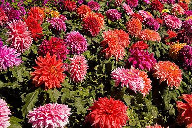 《疯狂兔子：奇遇派对》现已登陆国行版Switch