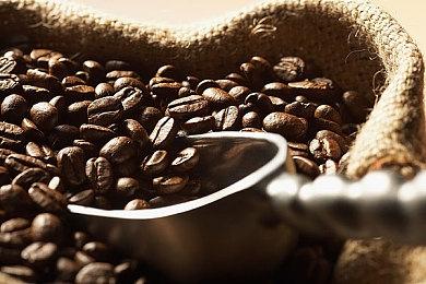 《饿殍：明末千里行》销量已突破百万 开发商新作开发中