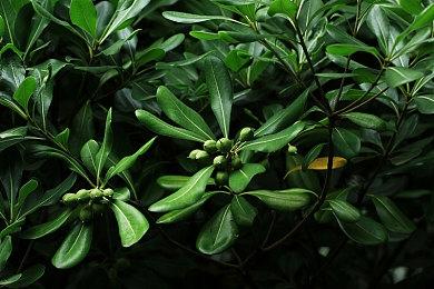 《无畏契约》新武器皮肤引吐槽：花钱变《反恐精英》？